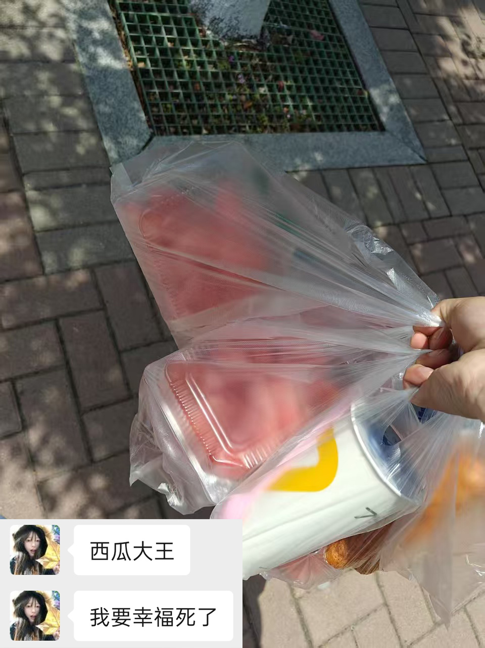 小白要当西瓜大王🍉
